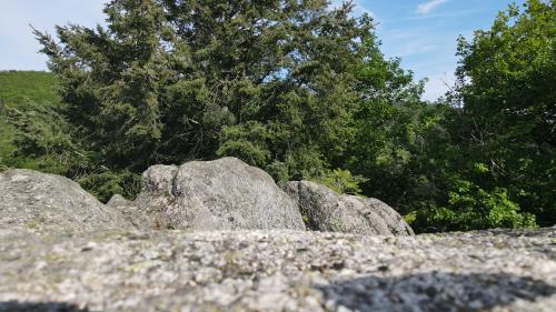 DJI_4838.JPG